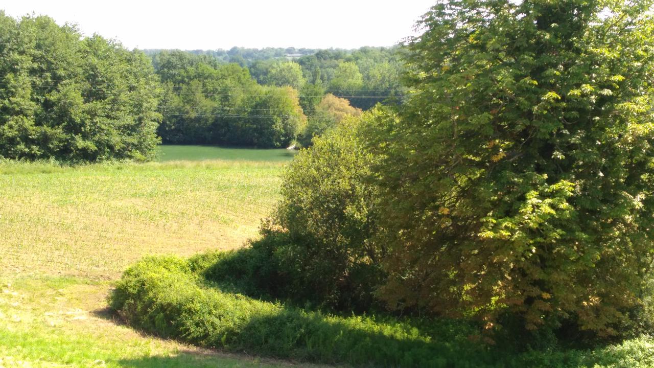 Domaine Du Have Bed and Breakfast Sainte-Christie-d'Armagnac Eksteriør billede